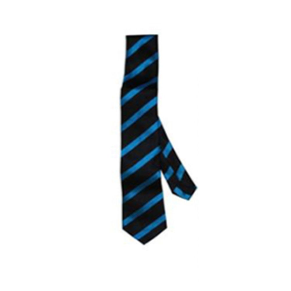 Colne Primet Academy Official Tie House Colours