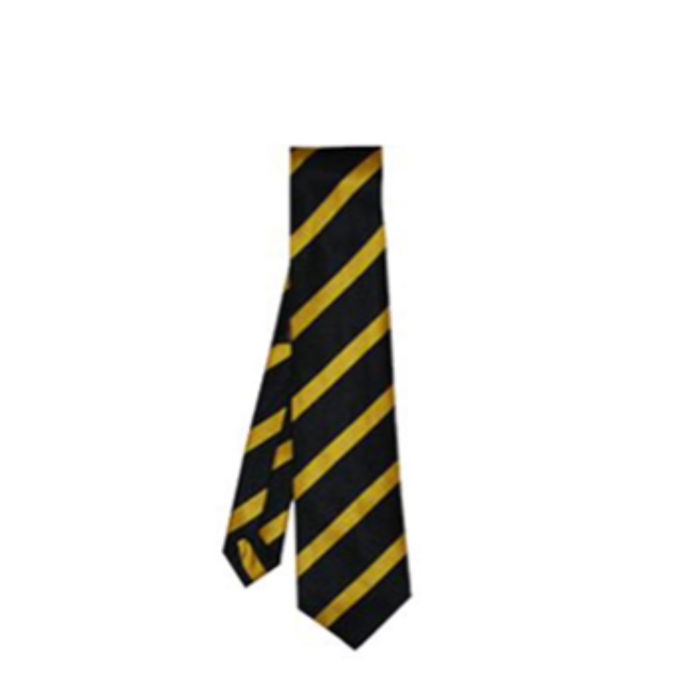 Colne Primet Academy Official Tie House Colours