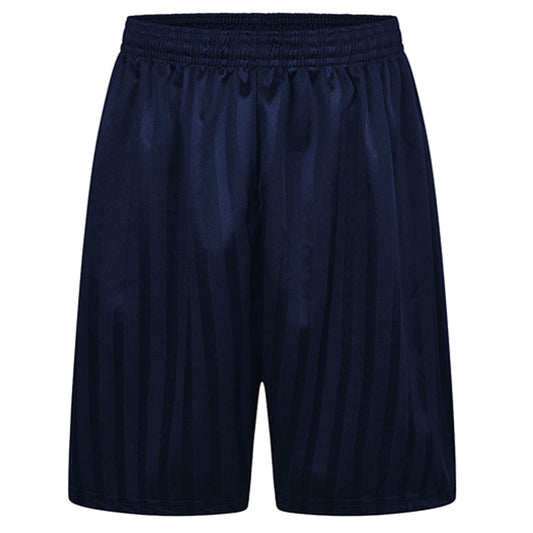 Shadow Stripe P.E Football Shorts Navy