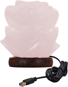 Himalayan Flower Salt Lamp USB LED Colour Changing Crystal Healing Ionizing Mother's Day Gift