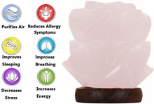 Himalayan Flower Salt Lamp USB LED Colour Changing Crystal Healing Ionizing Mother's Day Gift