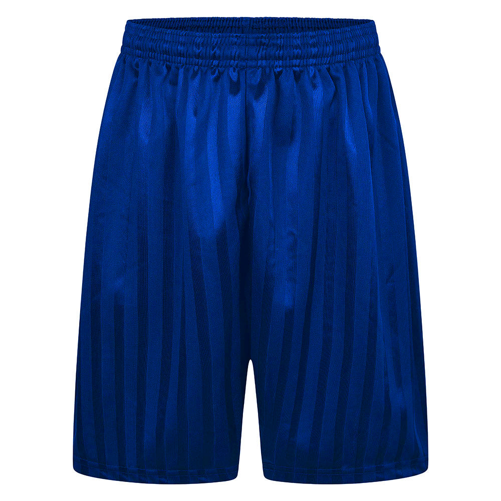 Shadow Stripe P.E Football Shorts Royal