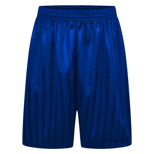 Shadow Stripe P.E Football Shorts Royal