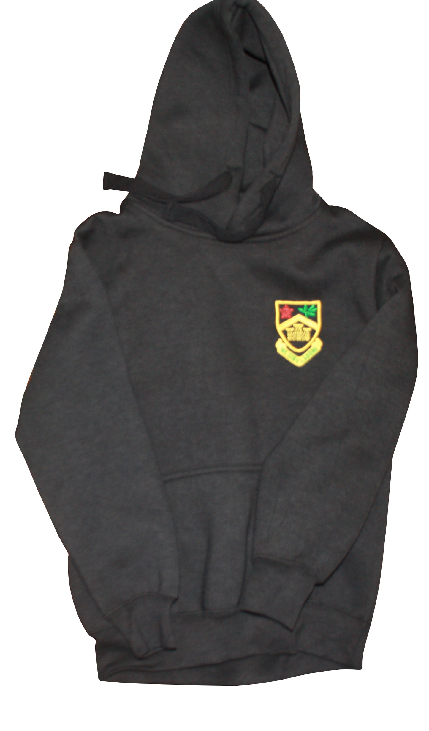 Park Hoodie