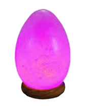Himalayan Egg Salt Lamp LED Colour Changing USB Crystal Healing Ionizing Mother's Day Gift