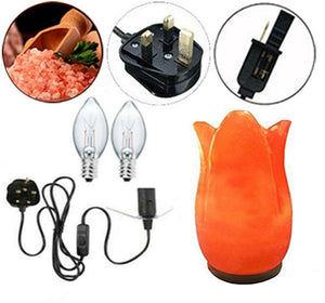 Himalayan Pink Tulip Shape Crystal Salt Lamp UK Switch Cable +2 FREE Bulbs Mother's Day Gift