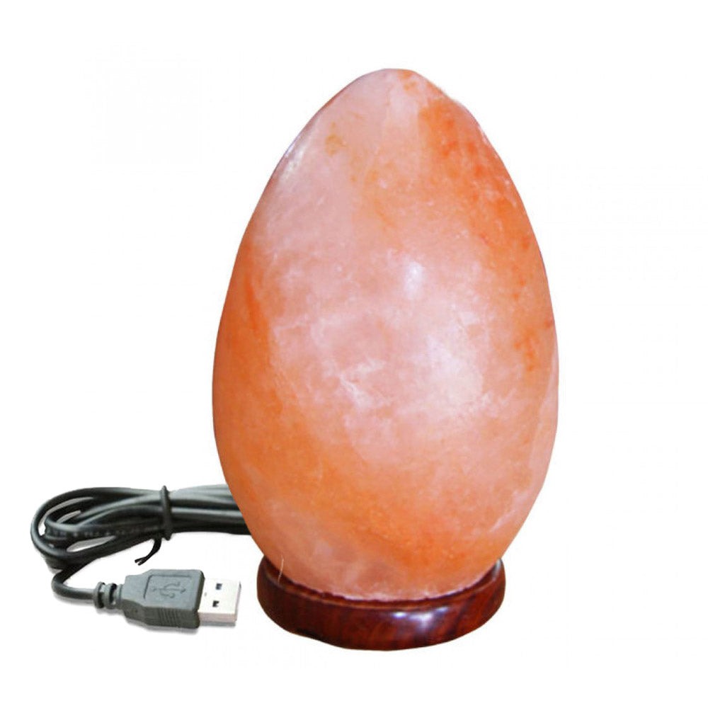 Himalayan Egg Salt Lamp LED Colour Changing USB Crystal Healing Ionizing Mother's Day Gift