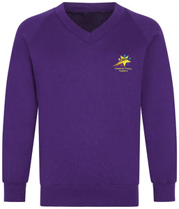 Castercliff Primary  V-Neck Sweatshirt