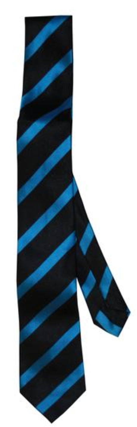 Colne Primet Academy Official Tie House Colours