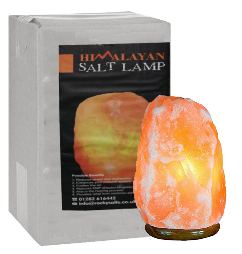 Himalayan Salt Lamp Crystal Pink Rock Lamp Natural Healing 100% Genuine Mother's Day Gift